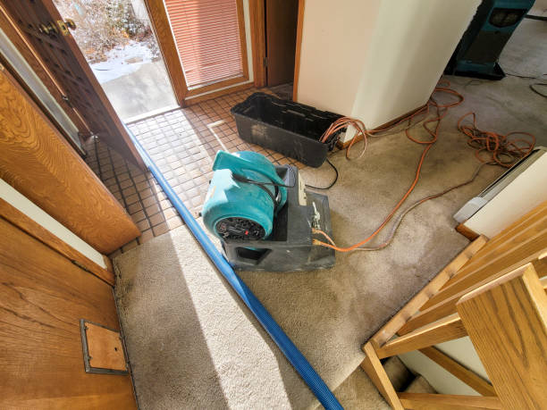 Best Water damage restoration near me  in Cherry Hill, VA