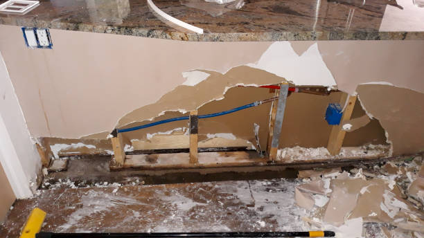 Best Water damage mitigation services  in Cherry Hill, VA